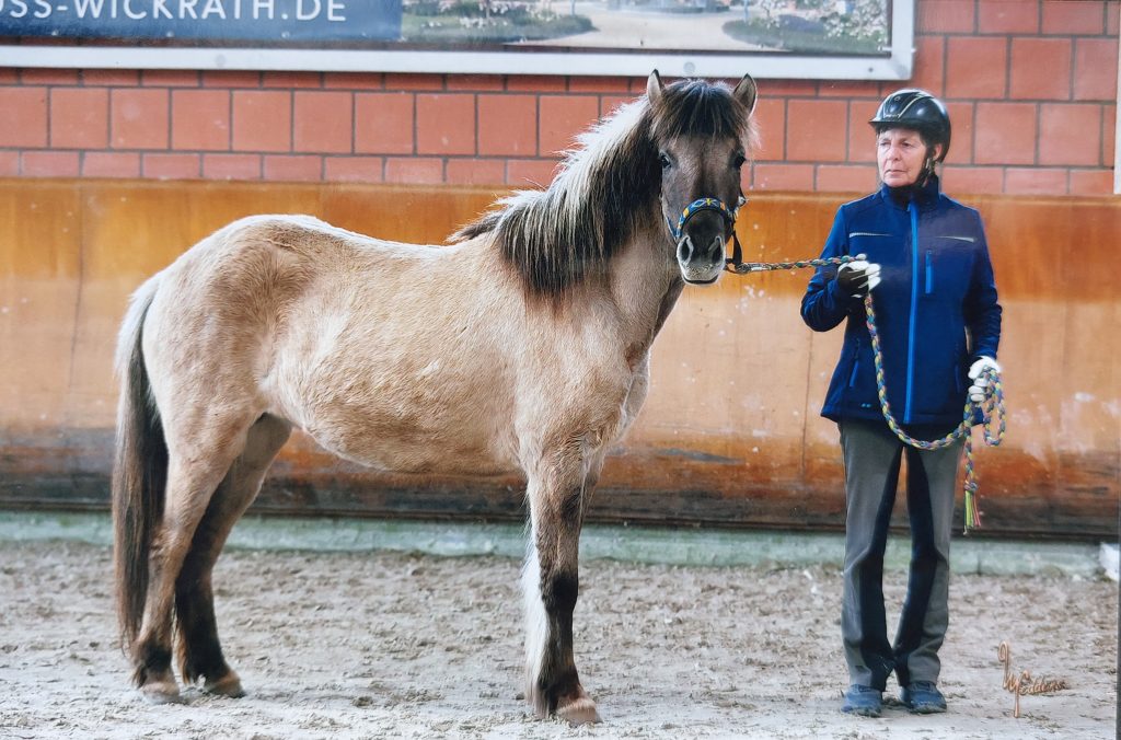 Foto © Ulrich Neddens